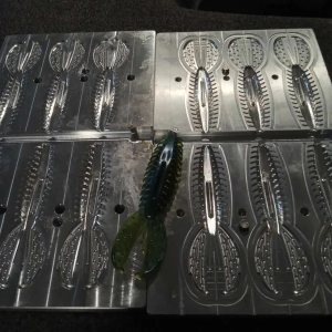 MOLDS