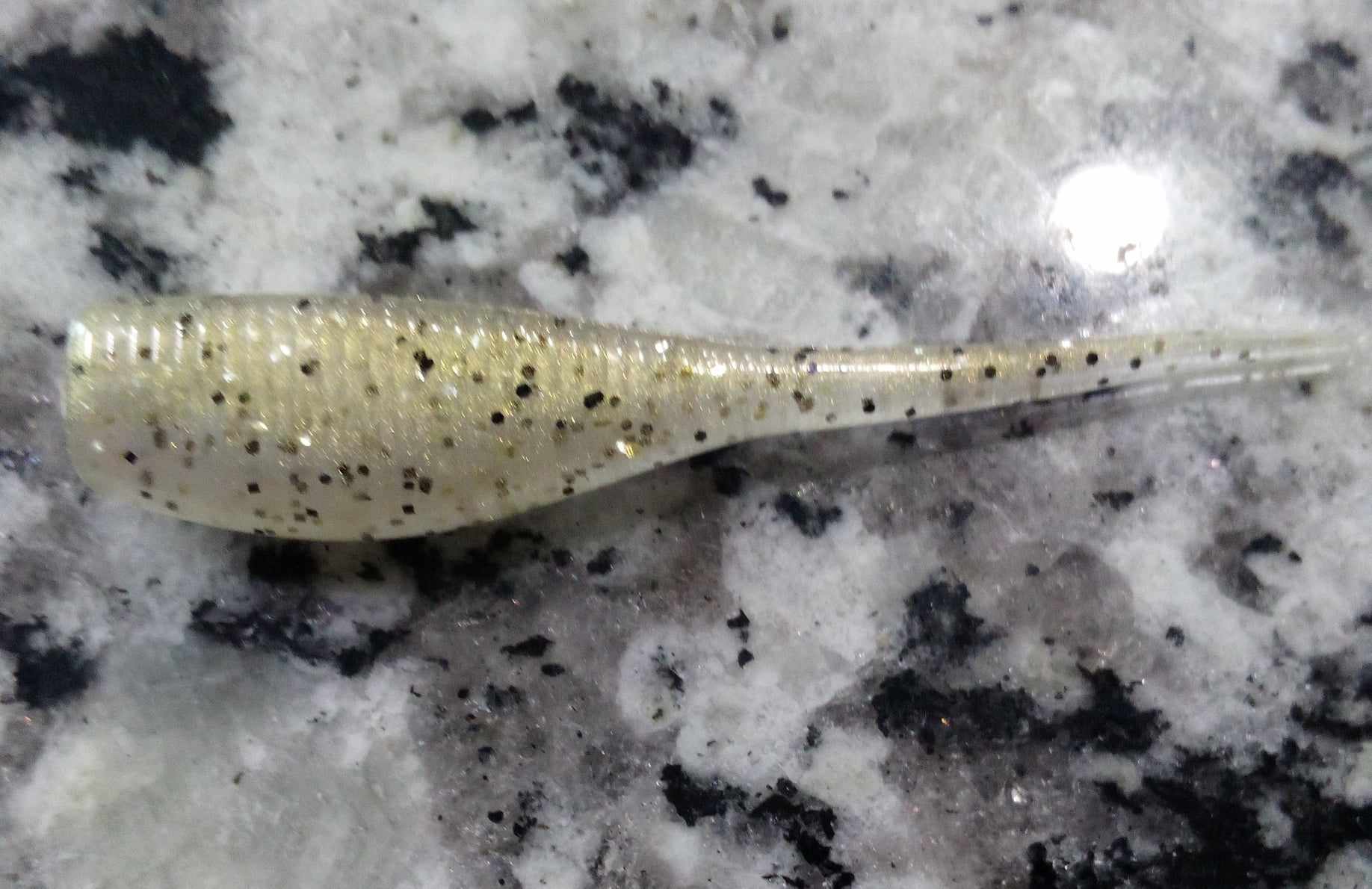 Crappie Minnow