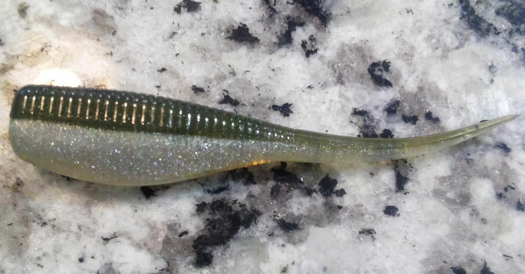 Crappie Minnow