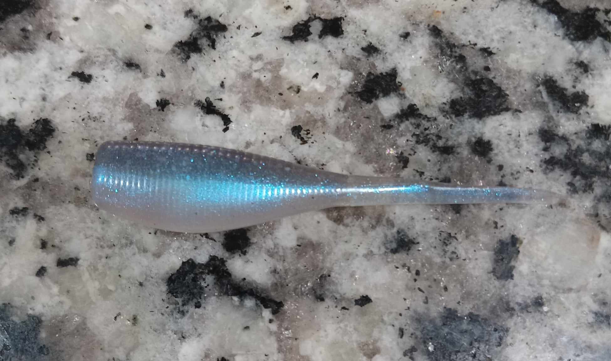 Crappie Minnow