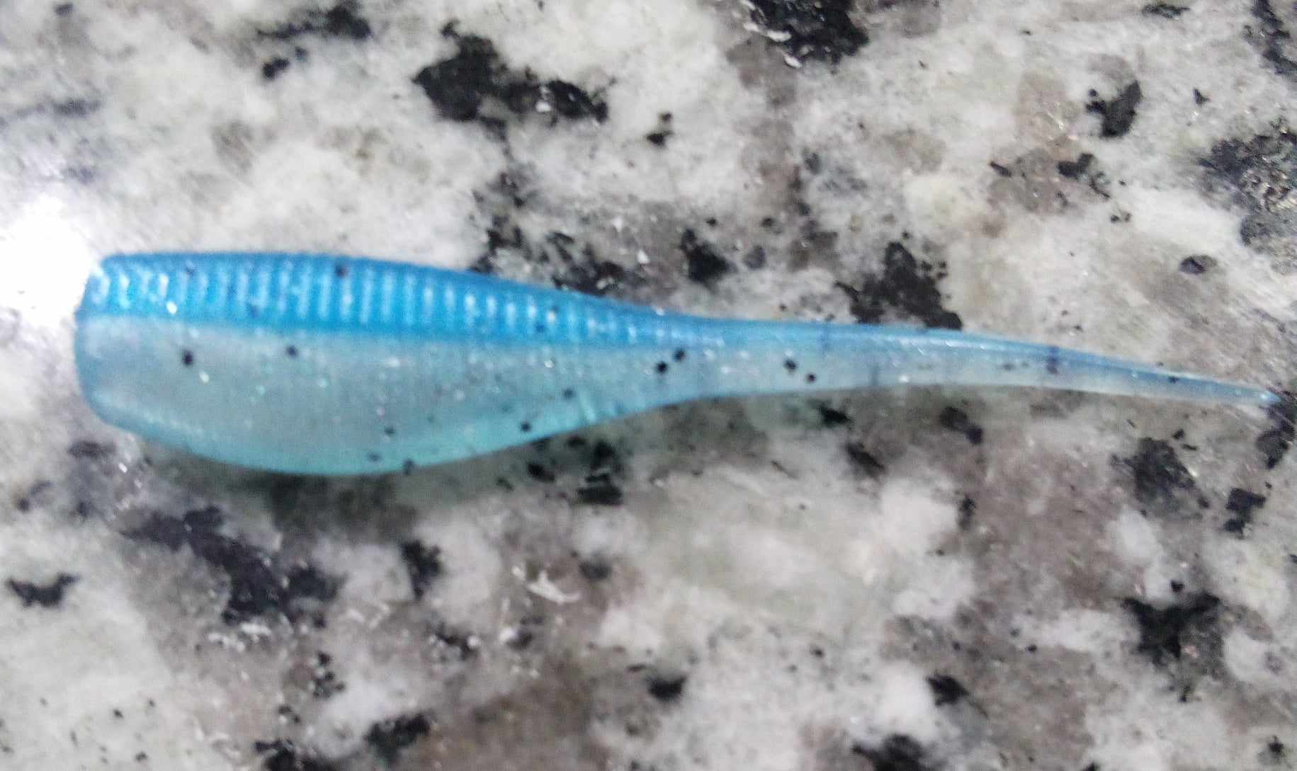 Crappie Minnow