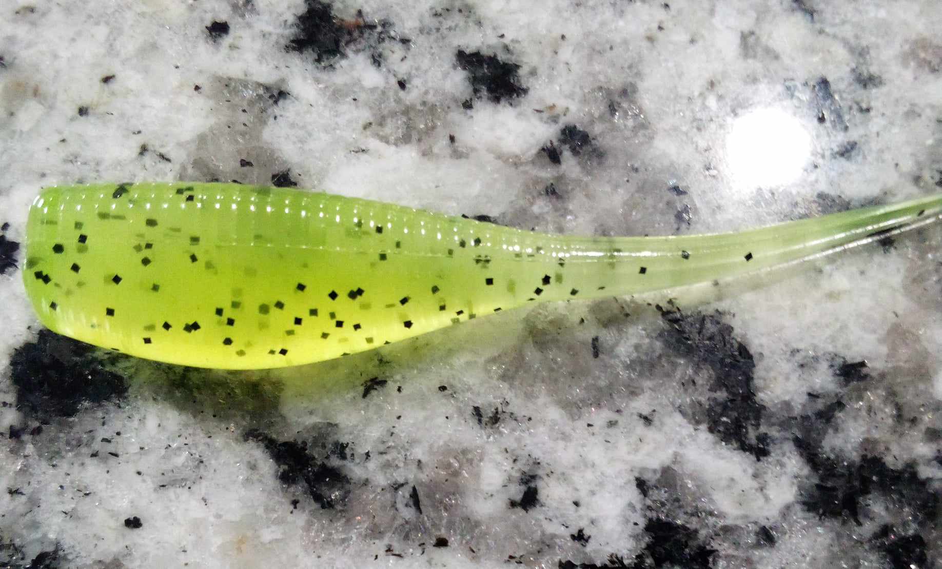 Crappie Minnow