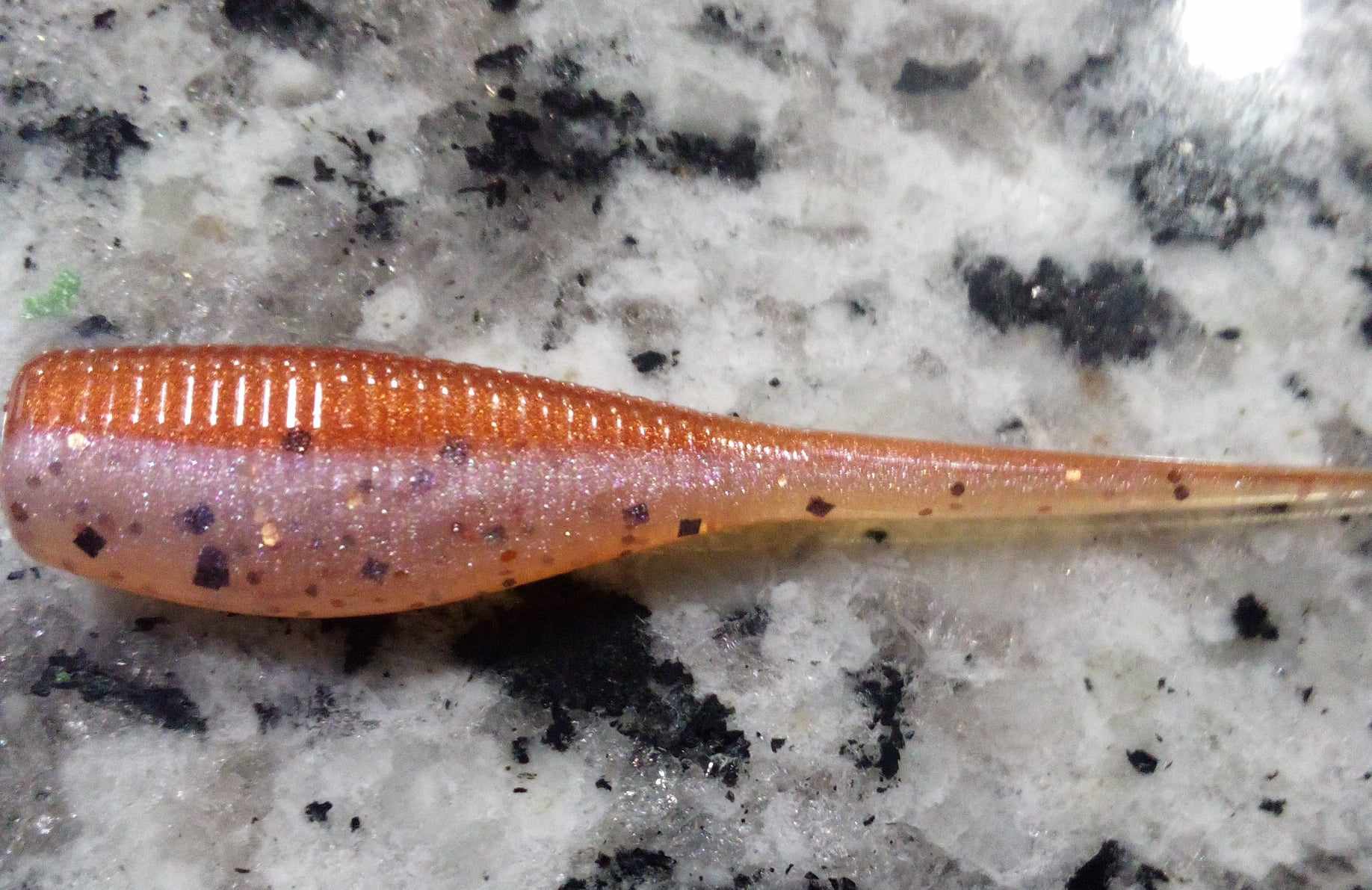 Crappie Minnow