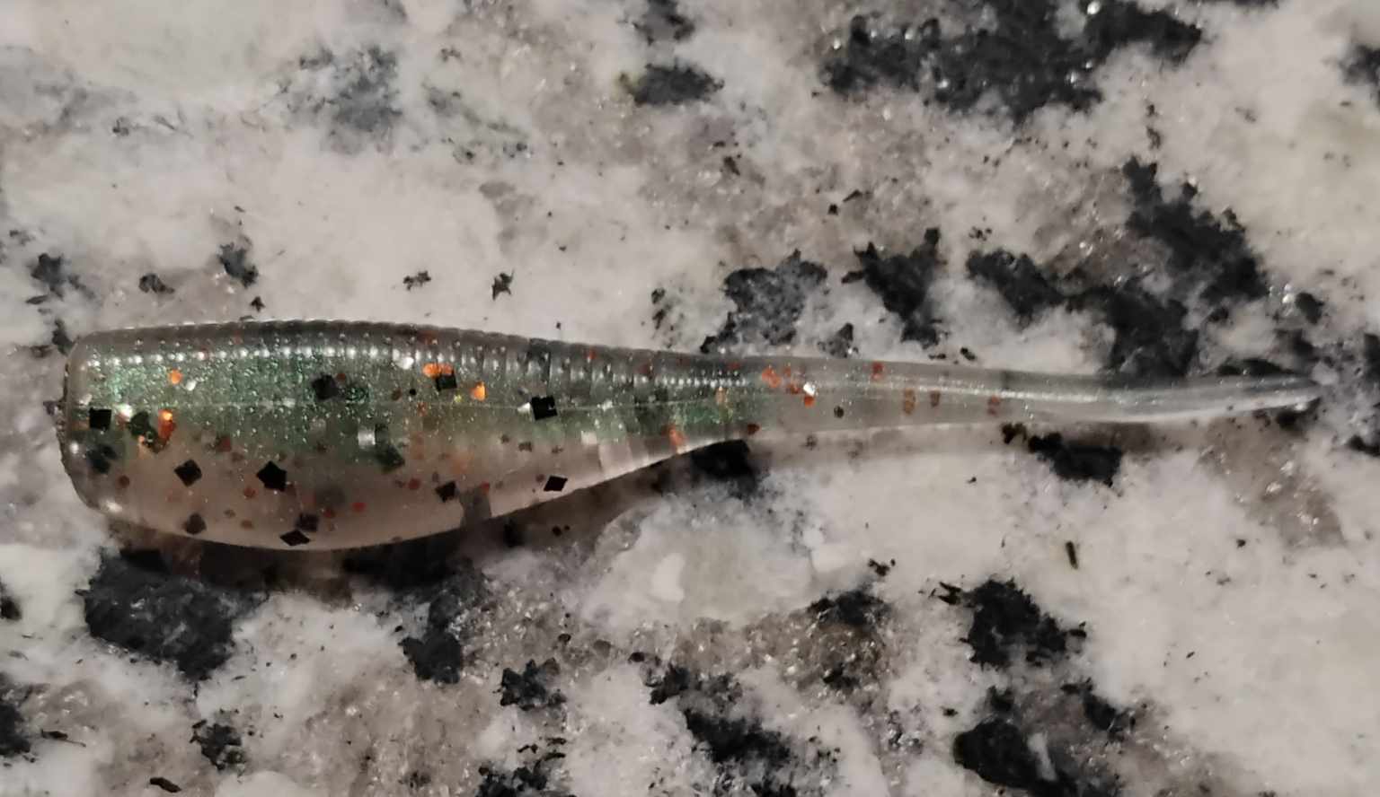Crappie Minnow