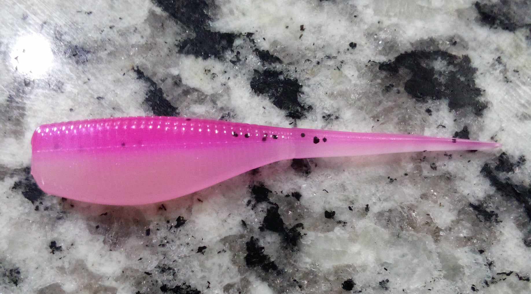 Crappie Minnow