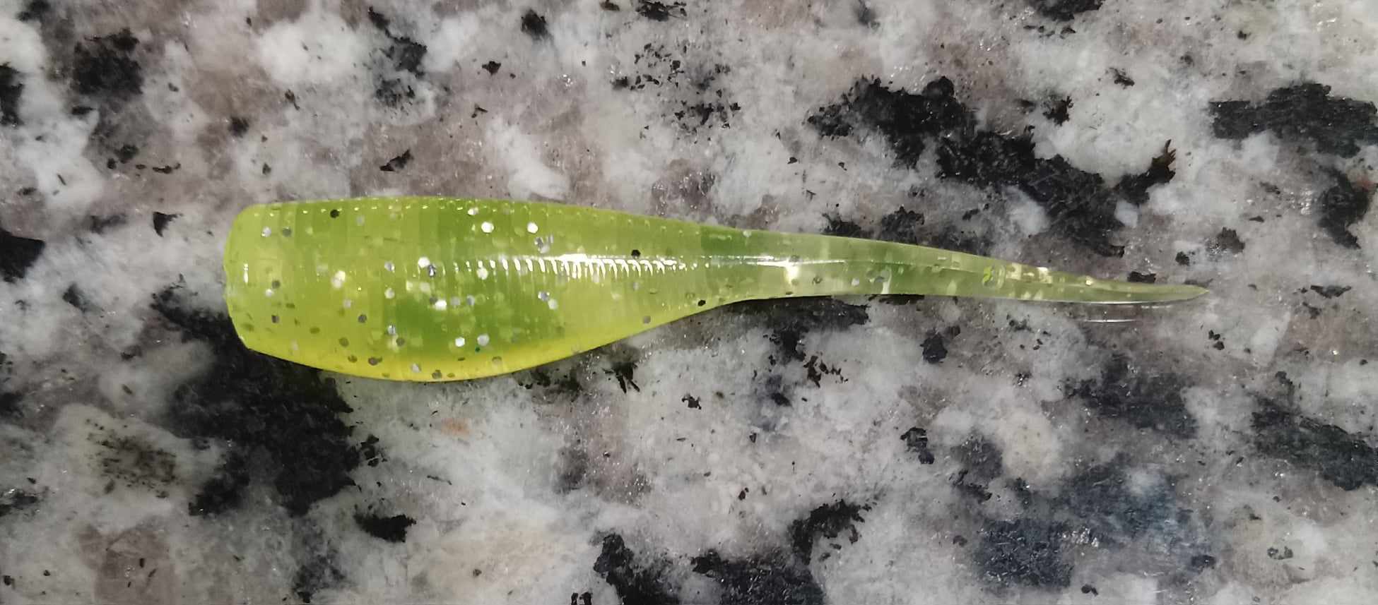 Crappie Minnow