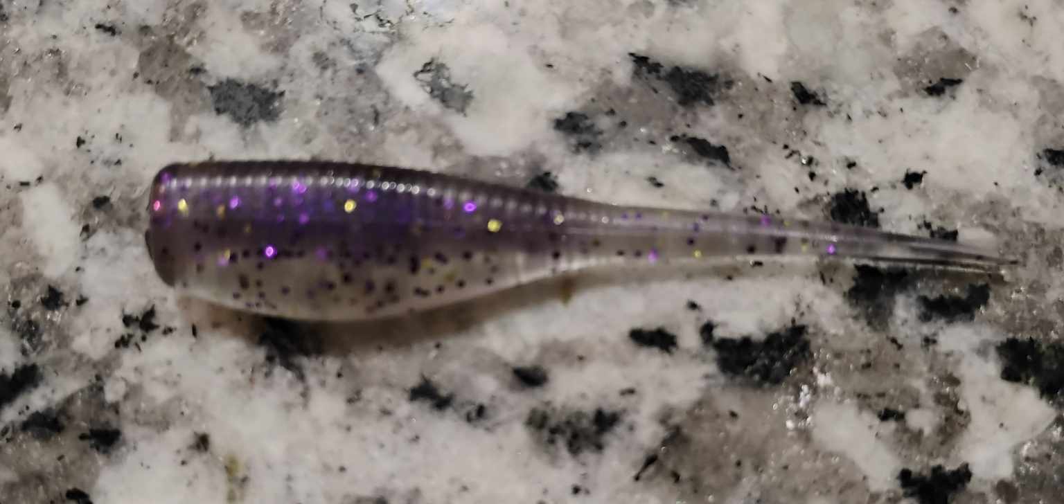Crappie Minnow