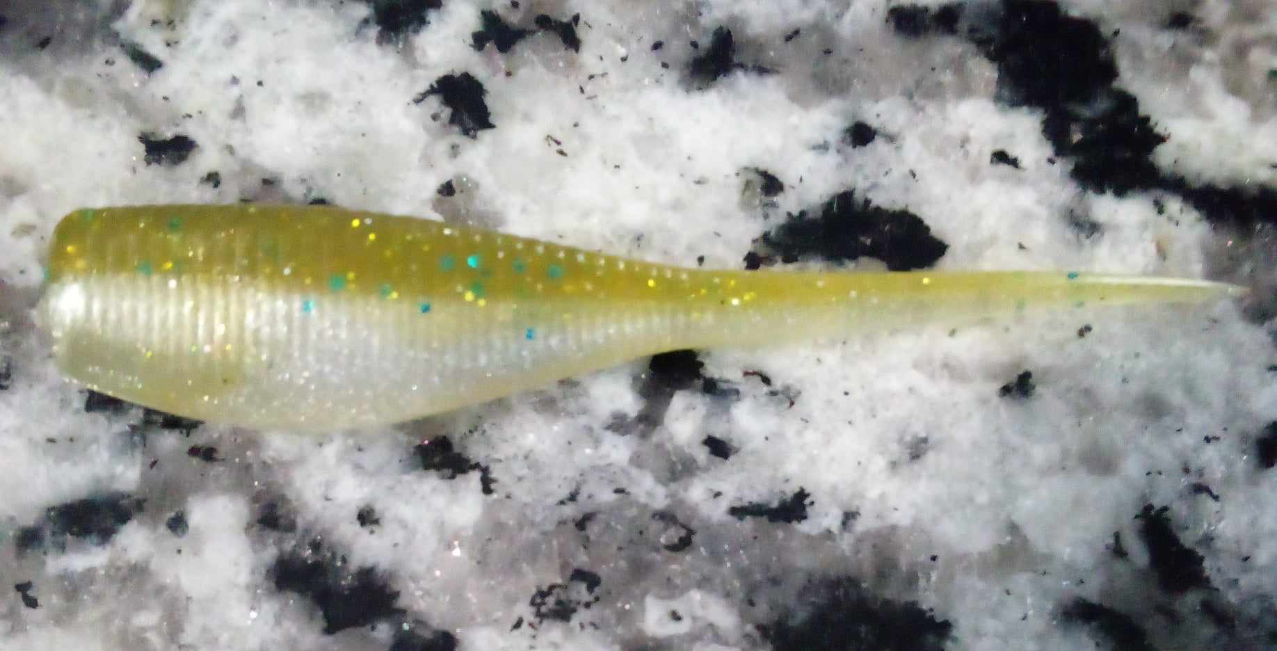 Crappie Minnow