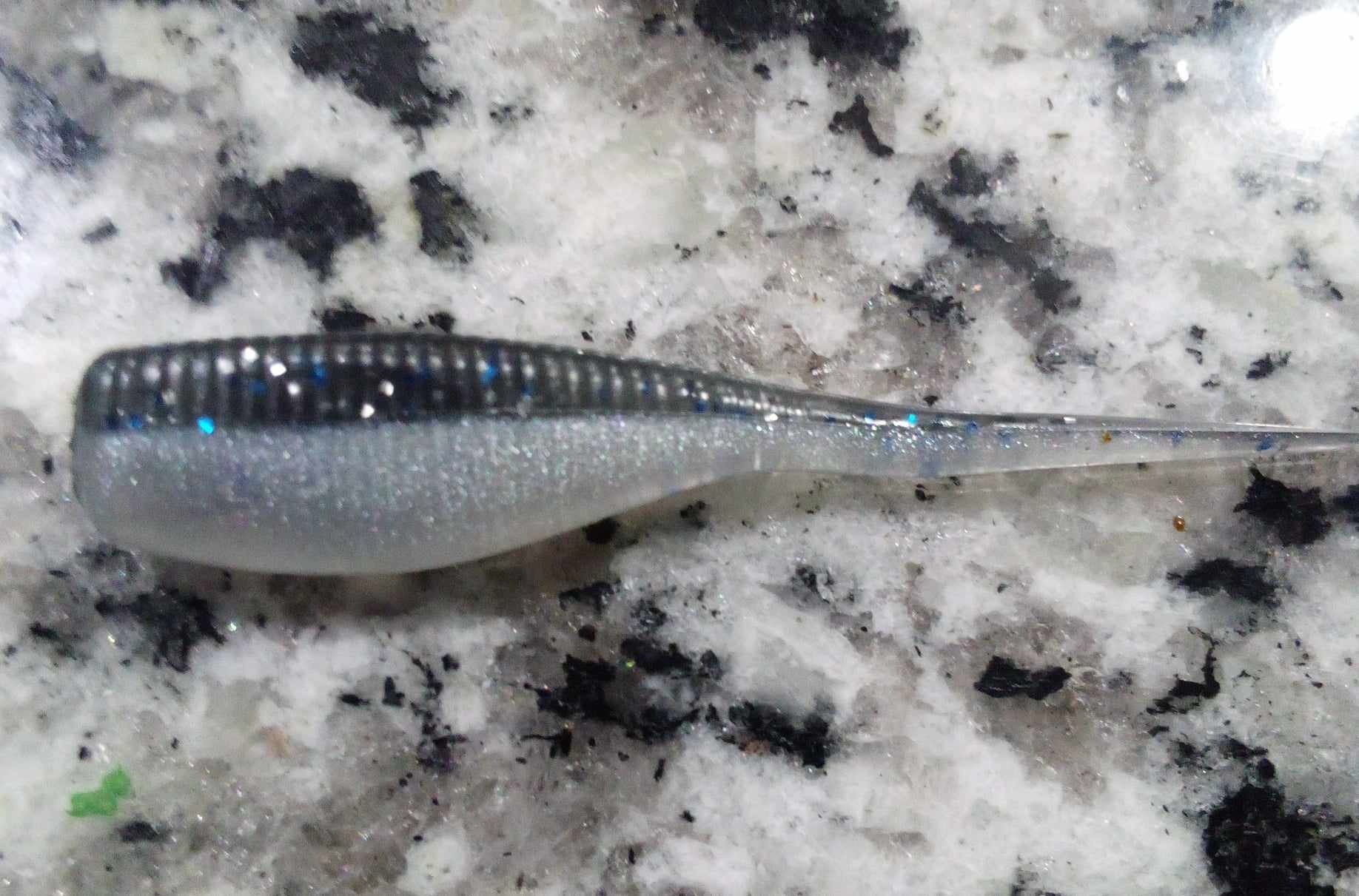 Crappie Minnow
