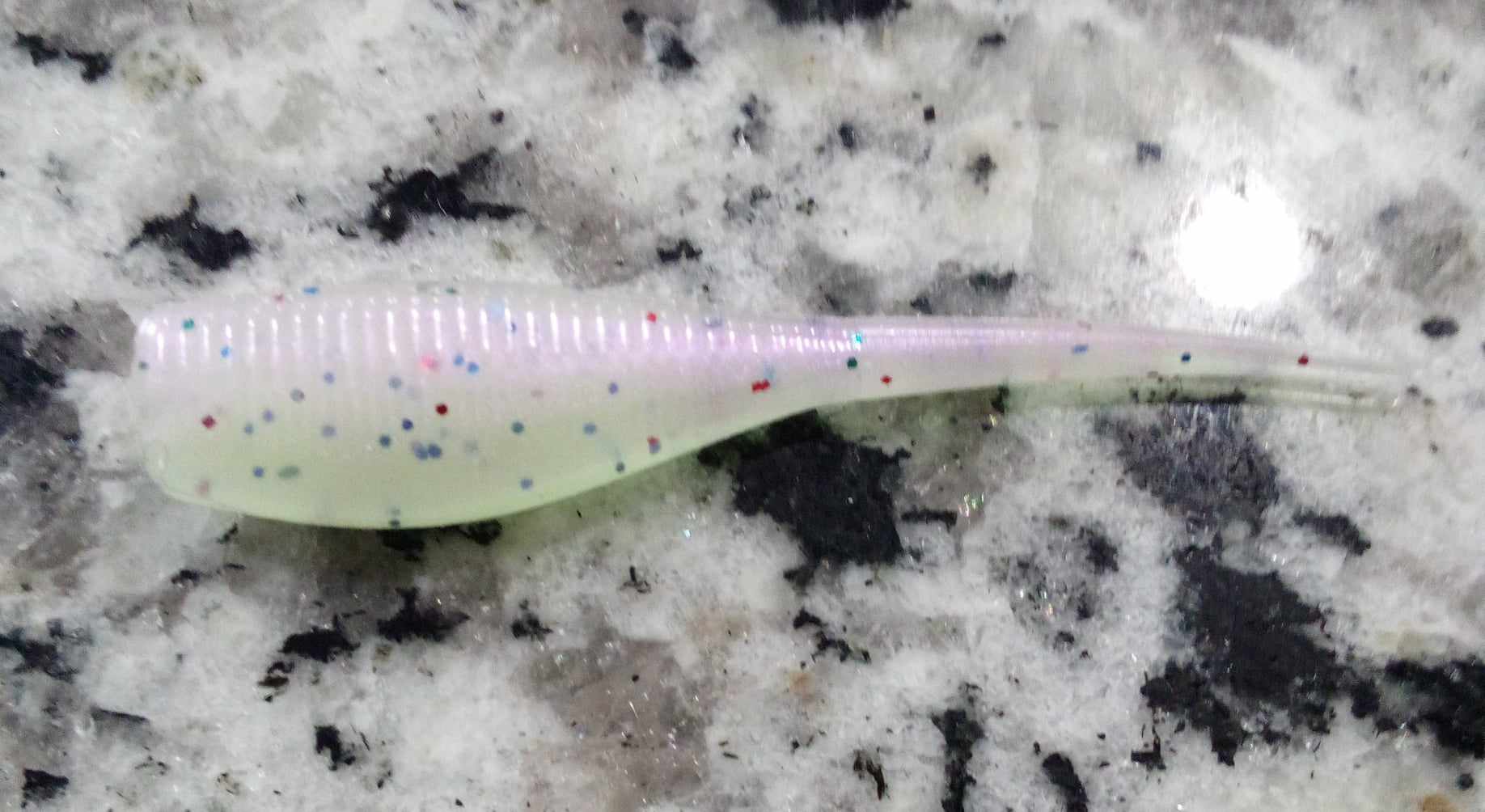 Crappie Minnow