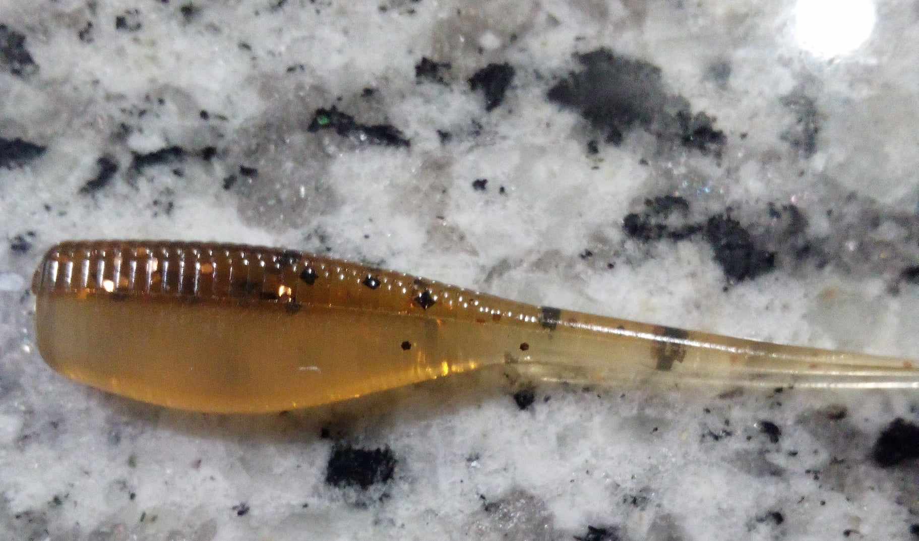 Crappie Minnow