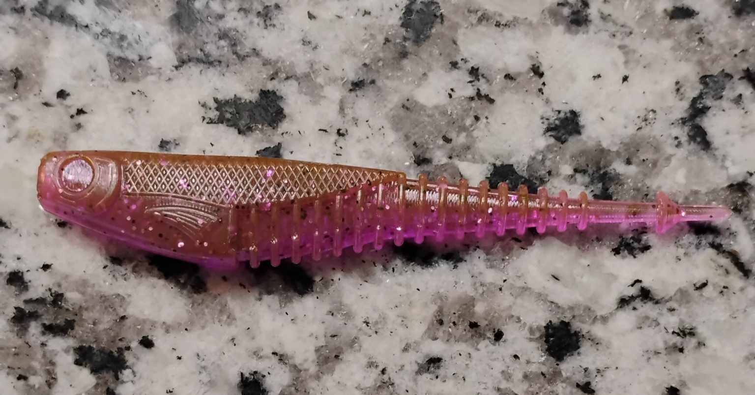 FS Minnow
