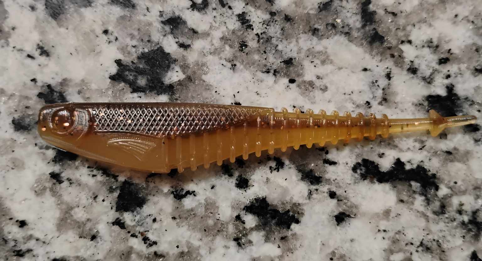 FS Minnow